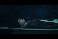 Stay Gold Jin GIF