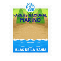 BICAinc logo animals fish sea Sticker