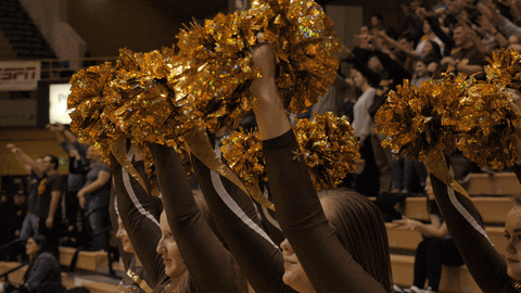 Happy Basketball GIF by Valparaiso University