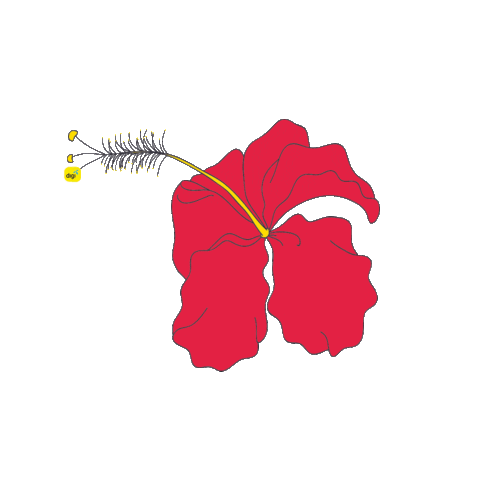 Malaysia Hibiscus Sticker by Digi