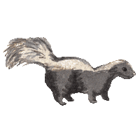 maggielam smile whatever have a nice day be happy Sticker