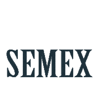 Semex Team Sticker by semexbrasil