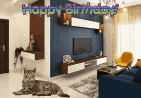My Pet Cats GIF