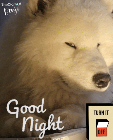 Tired Gute Nacht GIF