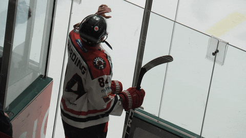 Ice Hockey Sport GIF by Cardiff Fire