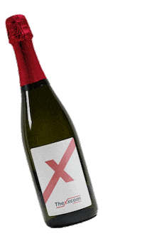 thexxcombr new year champagne ano novo clientebpm Sticker