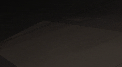 Happy Cats GIF by Kitty Is Not A Cat
