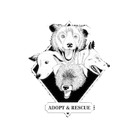 rescueyhdistyskulkurit adopt dont shop rescue dog rescueyhdistys kulkurit kulkurit Sticker