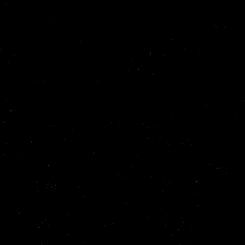 Goal Hockey GIF by Eisbären Berlin