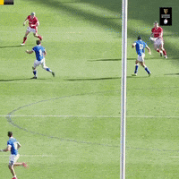 Wales Rugby GIF by Guinness Six Nations