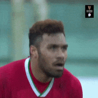 Come On Rugby GIF by Guinness Six Nations