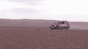 Palibex panda desert seat transporte GIF