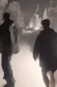 qgdocaio caio cerqueira qgdocaiocerqueira qgdocaioiris caio iris GIF
