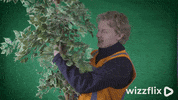 Wizzflix_ love heart kiss green GIF