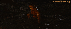 The Woman King GIF by Sony Pictures