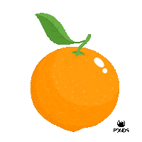 Pondsmexico orange fresh watermelon collection Sticker