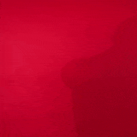 Texas Tech GIF by Texas Tech Baseball
