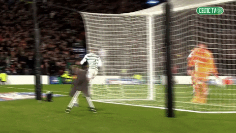 Party Celebration GIF by Celtic Football Club