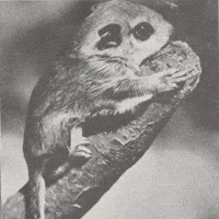 Solitude Waiting GIF