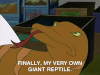 hey arnold nicksplat GIF