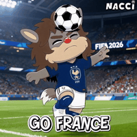 France Football GIF