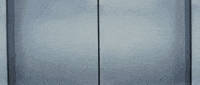 GIF by Morphin
