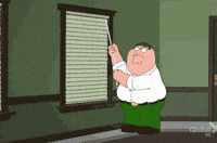 curtains GIF