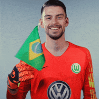 Football Waving GIF by VfL Wolfsburg