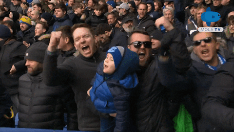Everton Watford GIF by MolaTV