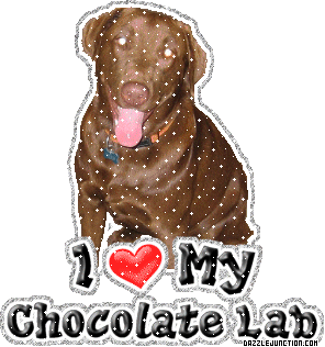chocolate STICKER