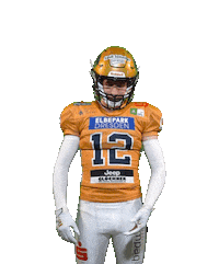 Football Sport Sticker by Dresden Monarchs