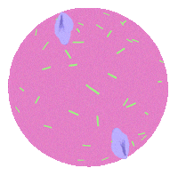 Art Illustration Sticker by Analice Campos