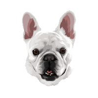 LolaDesignLA lola loladesign Sticker