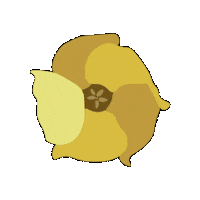 Song Contest Ks Sticker by Kamehameha Schools