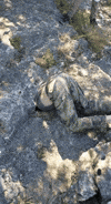 cave explorer GIF