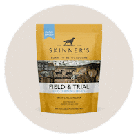 RogerSkinnerLtd dog dogs labrador dog food Sticker