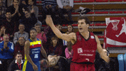 come on basketball GIF by ACB