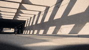 harleydavidson harley harley-davidson h-d harley motorcycle GIF