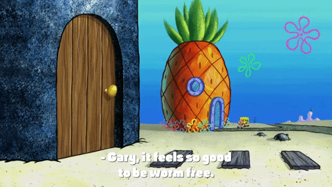 season 10 episode 3 GIF by SpongeBob SquarePants
