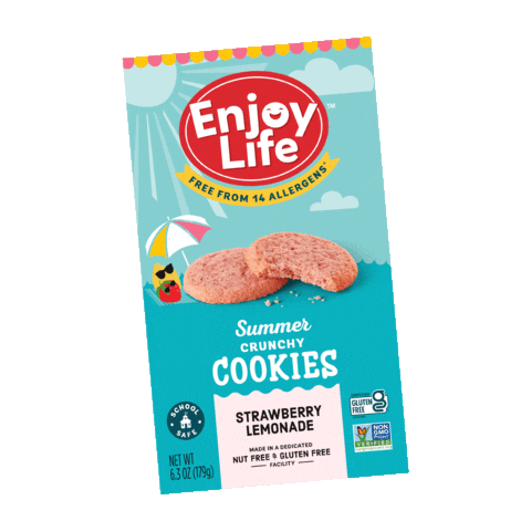 Summer Snack Sticker by Enjoy Life Foods