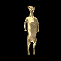 Jump Joy GIF by Premium-Goats