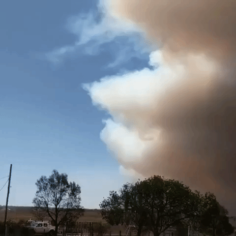 Smoke Turns Sky Orange as Fires Burn Across Northern New South Wales