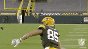 Regular Season Football GIF by NFL