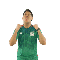 Futbol Celebrating Sticker by Youlive Talent Agency