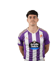 Football Soccer Sticker by Real Valladolid