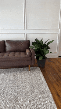 GIF by Burman Photography