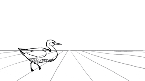 Duck Rough Animation GIF