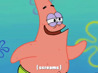 season 4 GIF by SpongeBob SquarePants