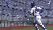 Creighton Baseball GIF by Creighton University Athletics