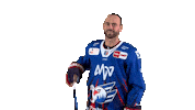 Esposito Sticker by Adler Mannheim